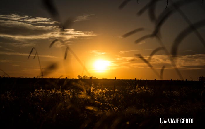 Atardecer en La Pampa Argentina